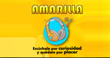 Logo Amarilla
