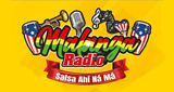 Logo Malanga Radio