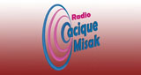 Logo Cacique Misak