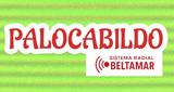 Logo Palocabildo - Online -
