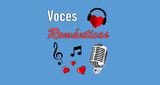 Logo Voces Románticas