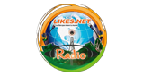 Logo Likes Net Radio