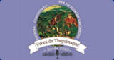 Logo Voces de Tisquizoque