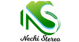 Logo NECHI STEREO