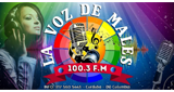 Logo La Voz De Males