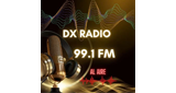 Logo DX Radio 99.1 FM