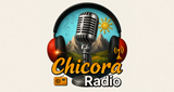 Logo Сhicora Radio
