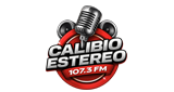Logo CALIBIO ESTEREO COLOMBIA