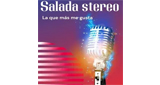 Logo Salada stereo