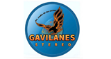 Logo Gavilanes Stereo