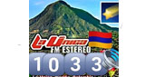 Logo La Unica 103.3 FM La Union