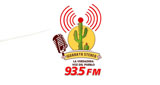 Logo Iguaraya Stereo