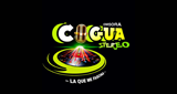 Logo Cogua stereo