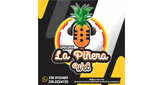 Logo La Piñera Web