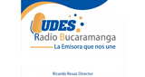 Logo Udes Radio