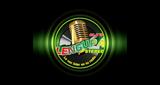 Logo Lengupa Stereo 98.6 FM