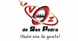 Logo La Voz De San Pedro