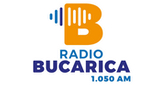 Logo Radio Bucarica