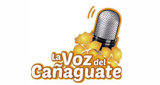 Logo La Voz Del Cañaguate