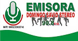 Logo Domingo Savio Stereo