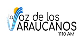 Logo LA VOZ DEL RIO ARAUCA