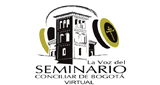 Logo La Voz del Seminario Virtual
