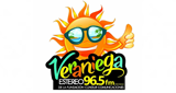 Logo Veraniega Estereo 96.5