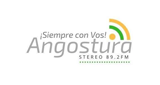 Logo Angostura Estéreo