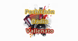 Logo Pechichón Radio Vallenato