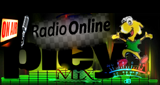 Logo Pleymix