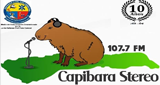 Logo Capibara Stereo