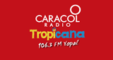 Logo Tropicana Casanare