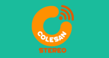 Logo Colesan Stereo