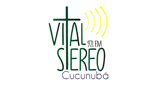 Logo Vital Stereo