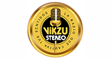 Logo Vikzu Stereo
