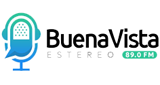 Logo BuenaVista Estereo 89.0 fm