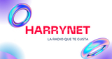 Logo harrynet.com