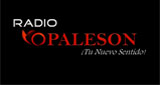 Logo Radio VOPALESON