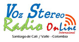 Logo Radio Voz Stereo Internacional