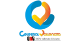 Logo de Celestial Vallenata en vivo