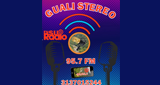 Logo de Gualí Stereo 95.7 Fm en vivo