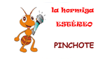Logo de La hormiga estéreo Pinchote en vivo