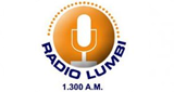 Logo de Radio Lumbí en vivo