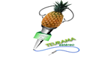 Logo de Teurama Estereo 107.2 en vivo